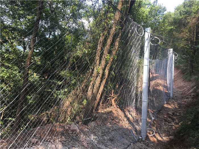 ���ӷ��o(h��)�W(w��ng)